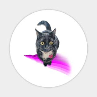 Beautiful painting of a classic kitty Magnet